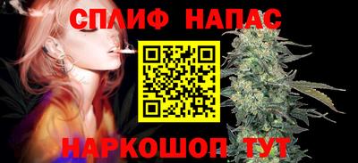 СК Канаш